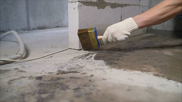 SJ Waterproofing Pros Waterproofing coverage map for East Pembroke, NY and surrounding area